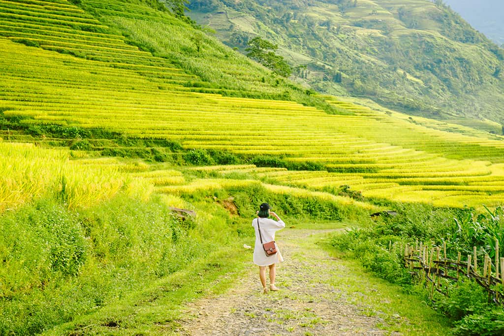 Khám phá “Mùa vàng Tây Bắc” 2020
HÀ NỘI – LÀO CAI – Y TÝ – LŨNG PÔ
3